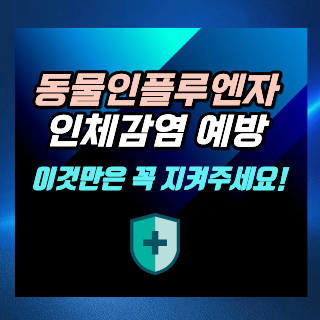 동물인플루엔자 인체감염, 이렇게 예방하세요!
