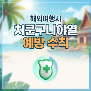 치쿤구니야열 예방하기!